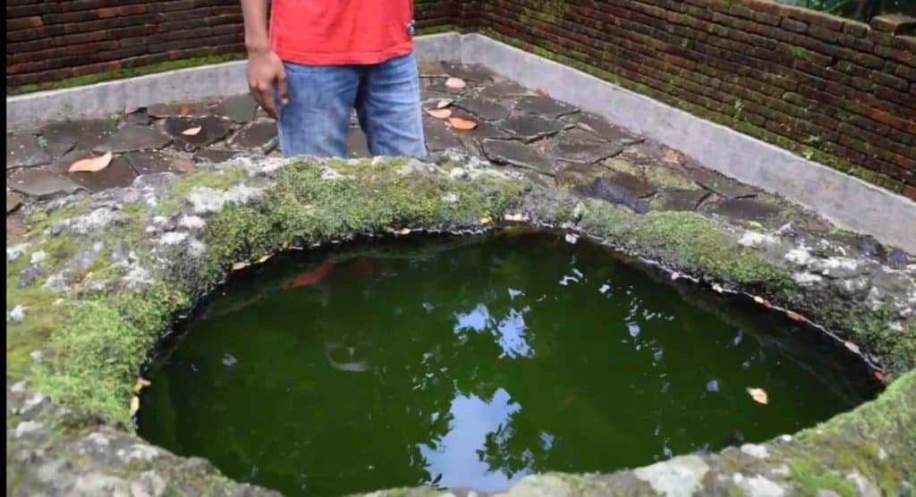 Sumur Batu Desa Tempur Wisata Peninggalan Joko Tarub
