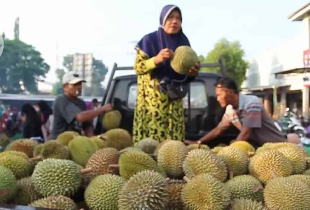 Durian jepara